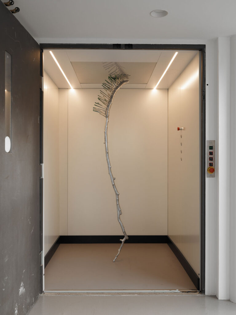 Galleria NEWSLETTER contatti: L'associazione culturale Art Studio Finestreria di Claudia Ponzi rappresenta un punto di incontro tra artisti. Opera dell'artista Giammarco Cugusi Clematis Vitalba Art Studio Finestreria Gallery. solo-exhibition-plural-exhibition tutte le mostre che abbiamo organizzato fino ad oggi con gli artisti selezionati