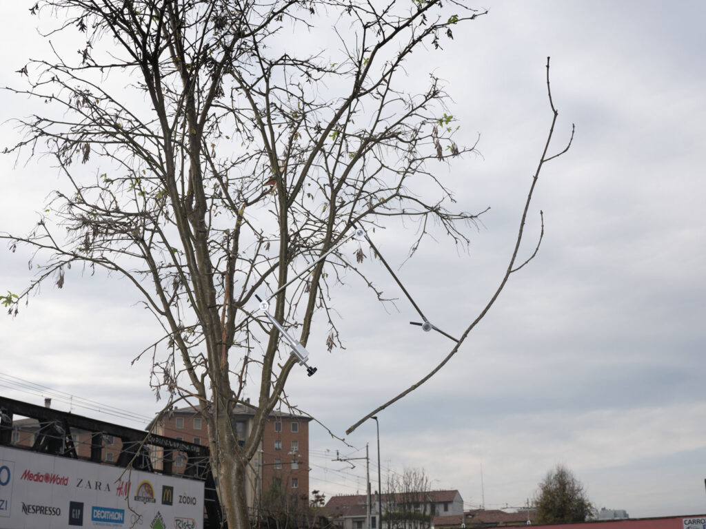 Galleria NEWSLETTER contatti: L'associazione culturale Art Studio Finestreria di Claudia Ponzi rappresenta un punto di incontro tra artisti. Giammarco Cugusi. Protèsi. Un braccio snodabile in alluminio, usato precedentemente per le flebo, ricollega a una pianta un ramo caduto. Opera dell'artista Giammarco Cugusi Clematis Vitalba protesi Art Studio Finestreria Gallery