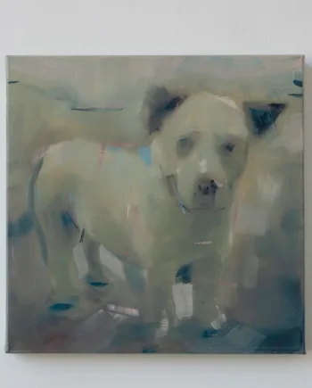 Leo Ragno  | A dog