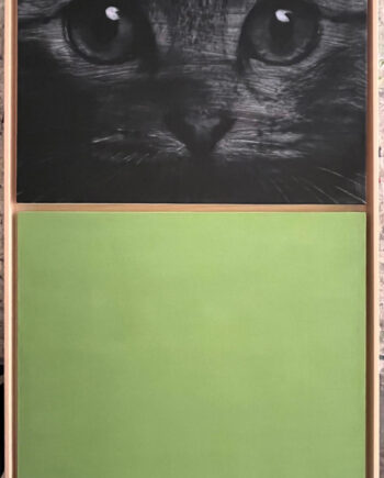 Nataly Maier | Gatto